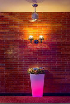 The Youniq Hotel, Kuala Lumpur International Airport
